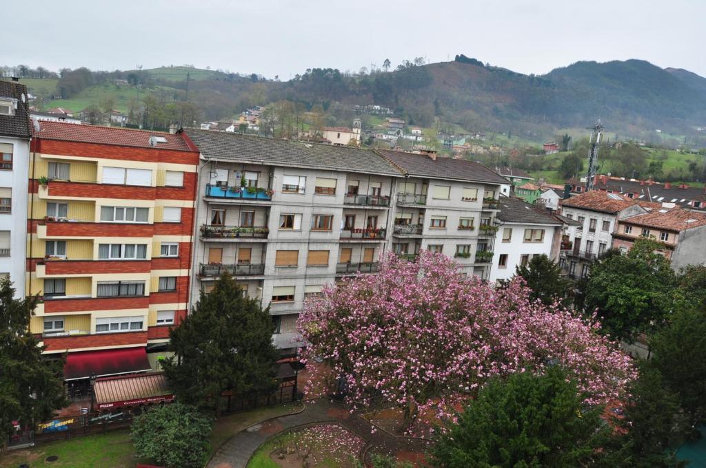 Pension Reconquista Onís Exteriér fotografie